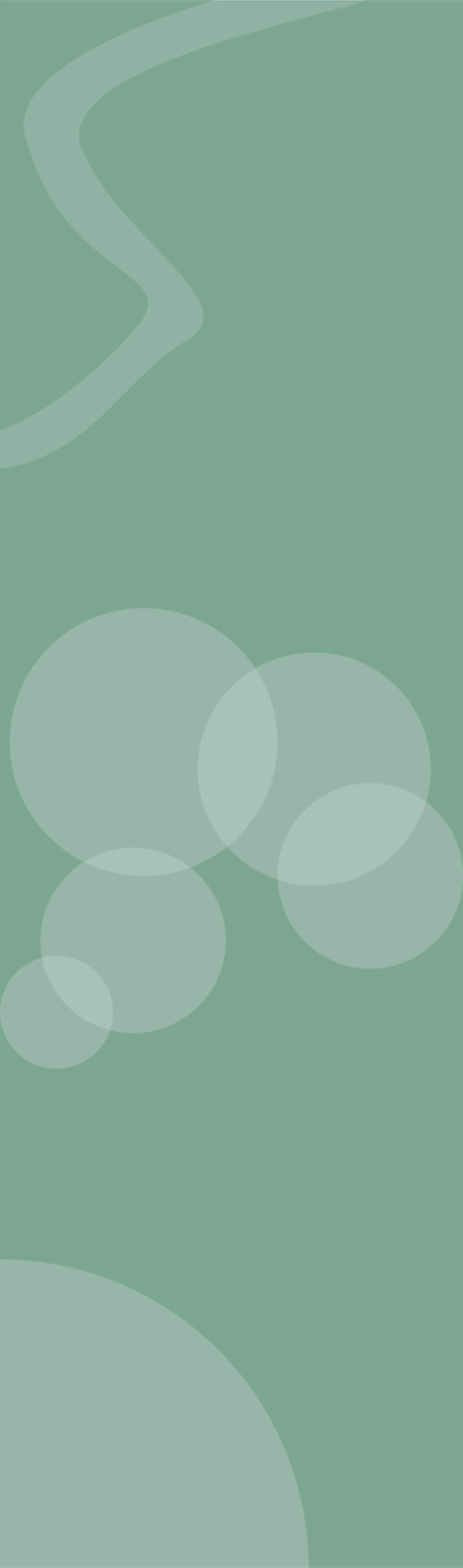 Features Mobile BG
